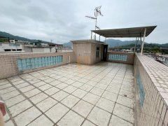 坑下莆 大埔 高层 B003166 售盘
