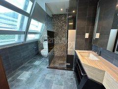 THE LILY 浅水湾 高层 A411999 售盘