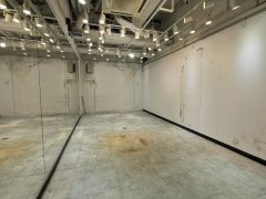 寶湖花園 大埔 低層 1743072 售盤