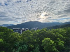 澐瀚 沙田 全幢 1764186 售盘