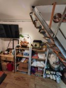 AVA 228 深水埗 低層 503710 售盤