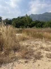 沙頭角 粉嶺 Y035243 售盤