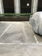 鳳凰閣 中半山 C508131 售盤