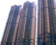 南丰广场 将军澳 中层 1714822 售盘