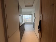 飛揚 屯門 高層 T010623 售盤