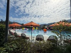 SIERRA SEA PH 01A AQUA AVE 馬鞍山 中層 1782402 售盤