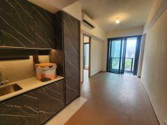 朗贤峰 何文田 高层 1733144 售盘