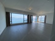 朗涛 大埔 高层 1691890 售盘