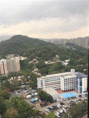德雅苑 大埔 高層 G035587 售盤
