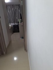 泮涌110号 大埔 S029601 售盘