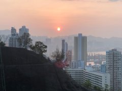 冠德苑 何文田 中层 000030 售盘
