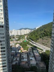 豐盛苑 沙田 T181168 售盤