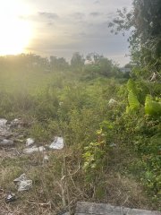 水头 元朗 Y037459 售盘