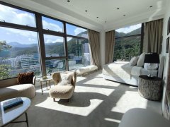 SHOUSON PEAK 浅水湾 A247154 售盘