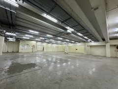 太平工業園 大埔 低層 369914 售盤