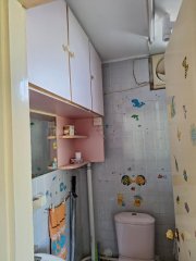 頌雅苑 大埔 高層 R163506 售盤