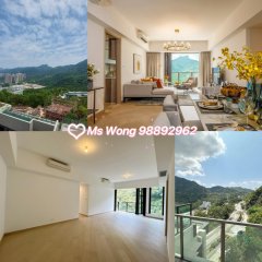 毕架金峰 沙田 1741562 售盘