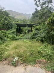 大江埔村 元朗 Y037332 售盘