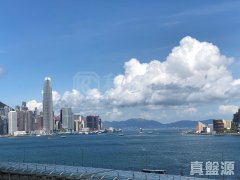 维港颂 北角 低层 1738986 售盘