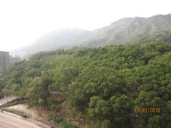 天馬苑 橫頭磡 高層 W053185 售盤