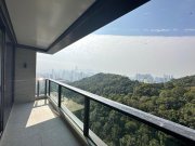 BEACON PEAK PH 01 石硖尾 高层 1640234 售盘