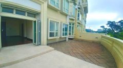 MOUNT AUSTIN 山頂 M015952 售盤