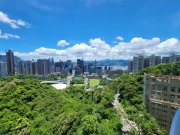 峻譽渣甸山 东半山 中層 1716626 售盘