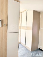 新都廣場 上水 低層 1775282 售盤