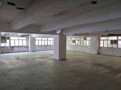 联兴工厂大厦 长沙湾 低层 C141247 售盘