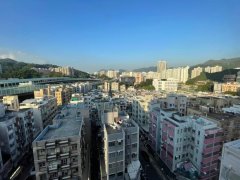 金山樓 沙田 T180708 售盤