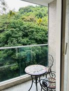 壹号云顶 沙田 中层 1725520 售盘