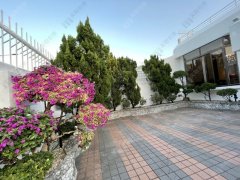 寶柏苑 沙田 全幢 1764850 售盤