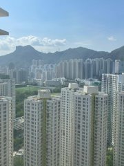 嘉峰台 牛池灣 高層 N125367 售盤