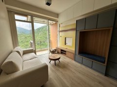 晋名峰 沙田 高层 S031206 售盘