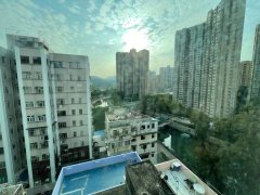 翠河花园 大埔 高层 W150853 售盘
