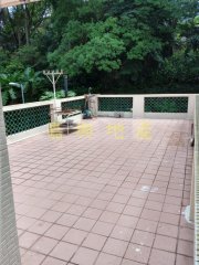 沙田围 沙田 H004235 售盘