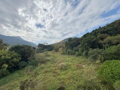 林锦公路 大埔 高层 B004165 售盘