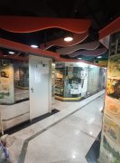 北角中心大厦 北角 低层 450838 售盘