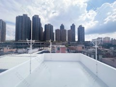 东头村 元朗 高层 000028 售盘