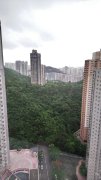 海港花園 牛池灣 高層 G089518 售盤