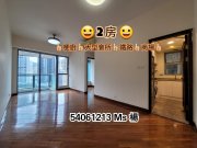 御龍山 沙田 低層 1658228 售盤