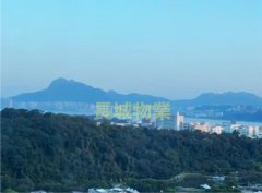 嵐山 大埔 高層 A039984 售盤