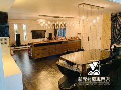 皇埔花園 元朗 低層 S008672 售盤