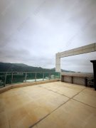 溱岸8號 沙田 高層 1724474 售盤