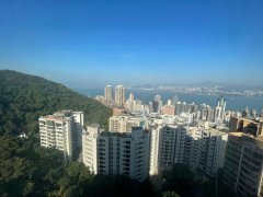 碧苑大厦 西半山 高层 A255863 售盘