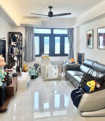 桂园 沙田 中层 1726820 售盘