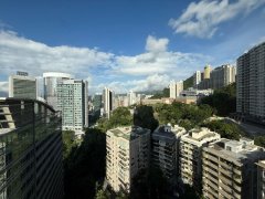 寶樺台 中半山 高層 A328774 售盤