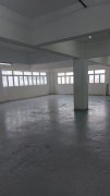 美安工业大厦 葵涌 高层 C083650 售盘