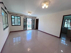 井头村 大埔 低层 025780 售盘