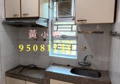 布心排村 大埔 Q050911 售盘